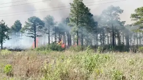 Don’t Miss the Final Update on the Croatan National Forest Fire