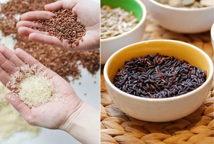 Varieties of Rice - Long Grain, Medium Grain, Short Grain