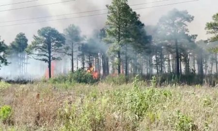 The final update on the Croatan National Forest fire.